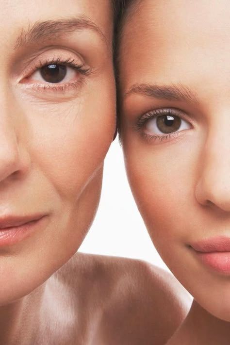 Anti-Aging Maison de Porcelaine