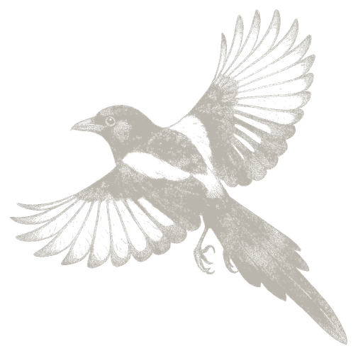 Sélection Printemps