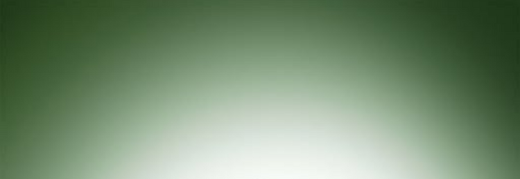 Acne Skin Maison de Porcelaine